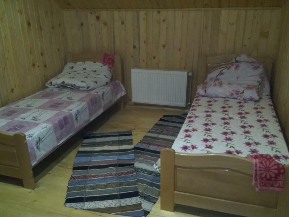 Відпочинок У Карпатах, Мінеральні Ванни, Банний Чан! Guest House Verkhnyaya Bystra Екстериор снимка
