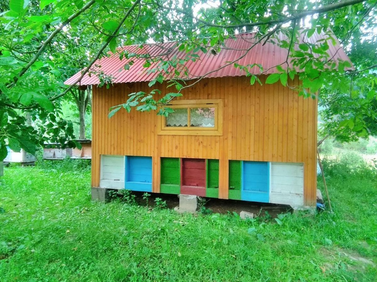 Відпочинок У Карпатах, Мінеральні Ванни, Банний Чан! Guest House Verkhnyaya Bystra Екстериор снимка